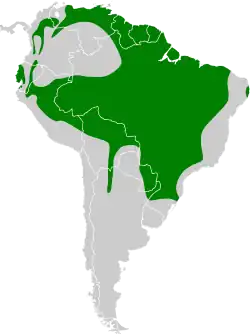 Distribución geográfica de la tangara güirá.