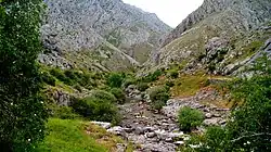 Hoces de Vegacervera