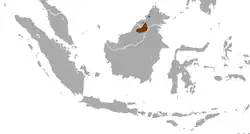 Distribución de la civeta de las palmeras de Hose