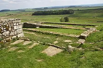 Ruinas de cuatro edificios del asentamiento civil (vicus) al sur del fuerte.