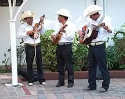 Trío huasteco, compuesto de violín, jarana y quinta.
