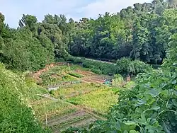 Huertos de La Hontanilla