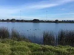 Humedal Laguna Llolleo, se identifican: algunos de los peces del cuerpo de agua y diversa flora que contiene el humedal. Imagen tomada en Julio de 2020.