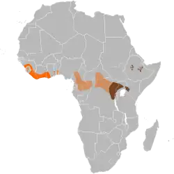 Área de distribución de: H. m. ivoriensis H. m. rimator H. m. meinertzhageni