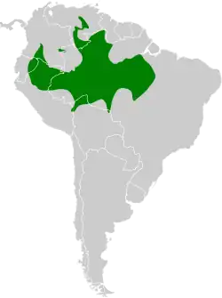 Distribución geográfica del hormiguero lomipunteado