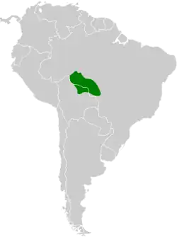 Distribución geográfica del hormiguero de Rondonia.