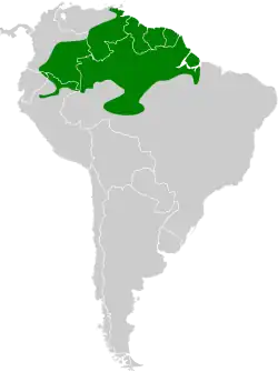 Distribución geográfica del hormiguero barbinegro.