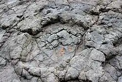 Yacimientos de Icnitas