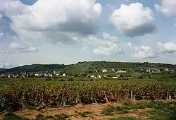 Vista de Saint-Martin-sous-Montaigu
