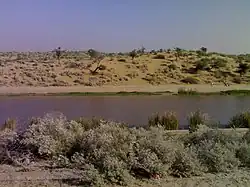 El canal fluyendo en el desierto de Thar cerca del pueblo de Sattasar, distrito de Bikaner, Rajastán