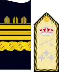 Divisa de teniente general (Infantería de Marina)