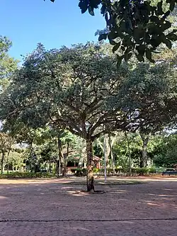 Ingreso al Parque Autonómico 4 de Mayo