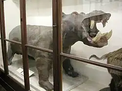 Hipopótamo de Boboli