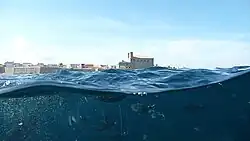 Espacio marino de Tabarca