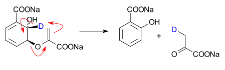 La isocorismato piruvato liasa convierte al isocorismato en salicilato y piruvato