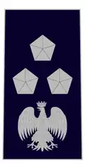 Divisa de Ispettore capo