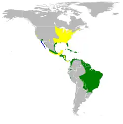 Distribución de Ixobrychus exilis Amarillo: durante tiempo de anidación, verde: todo el año, azul: durante el tiempo no reproductivo