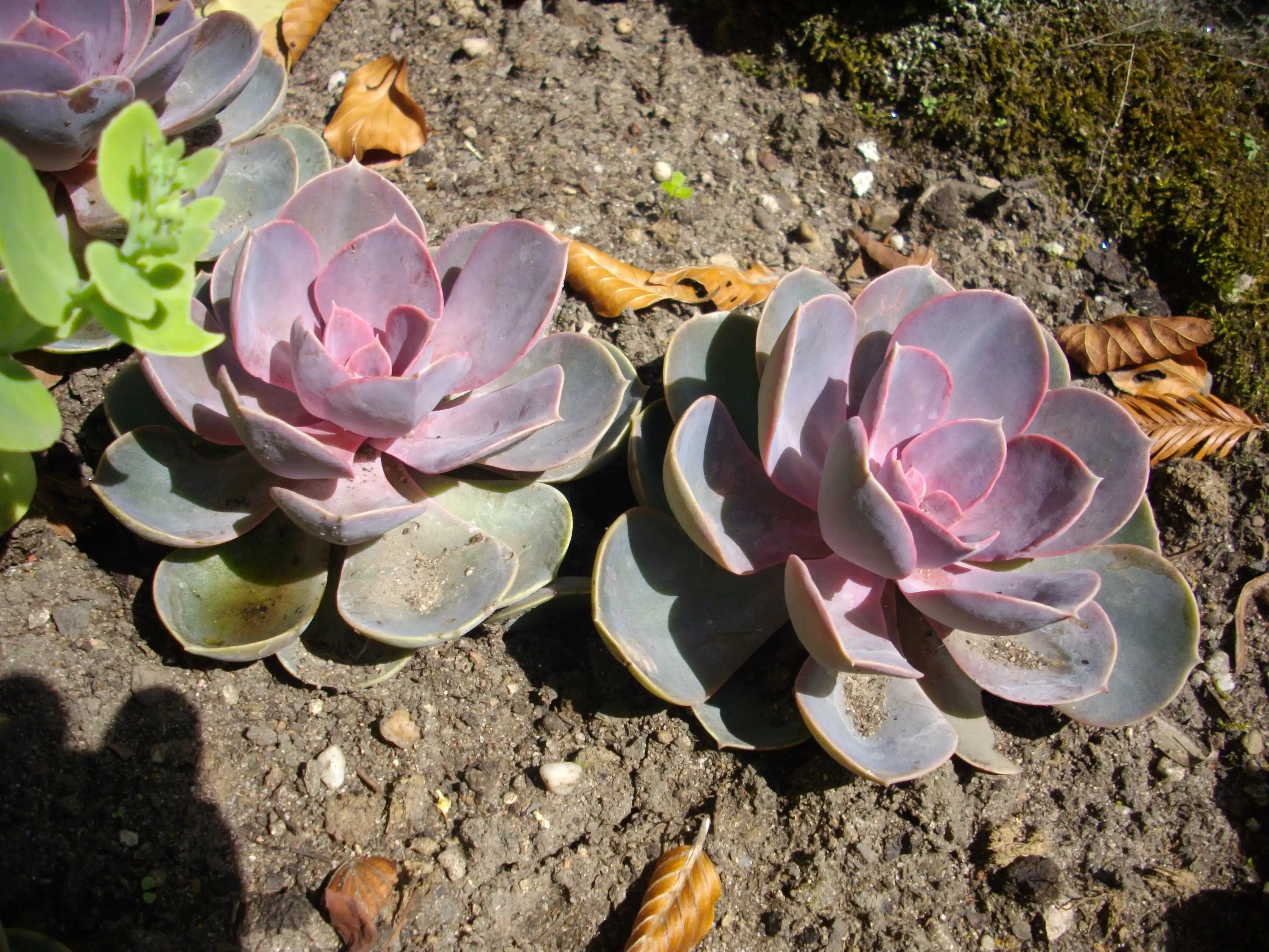 JB_Metz_-_13082011_-_011