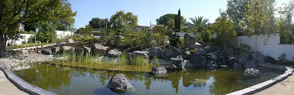 El jardín japonés.