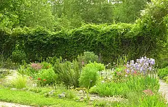 "Jardin des simples et des plantes villageoises"