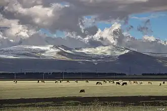 Parque Nacional de Yavajetia