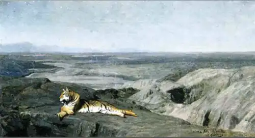 Esquisse Tigre couché, au clair du lune.