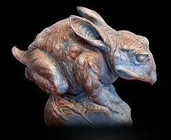 Rana con orejas de conejo