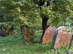 Cementerio judío en Rymanów