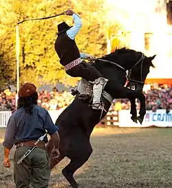 Gaucho domando potro