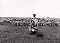 Pastor de ovejas en Hortobágy, 1908.