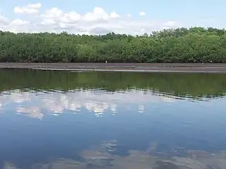 Humedal Barra de Santiago