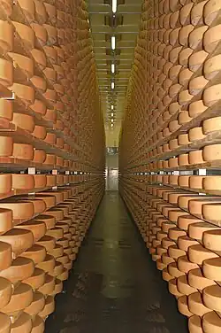 Bodegas de queso en Lingenau