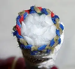 Corte transversal de una cuerda de escalada moderna.