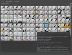 Los diferentes pinceles de Krita
