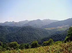 Selva de Laton en Guilán
