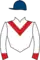 Horse racing silks