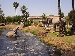 Réplicas de mastodontes en los pozos.