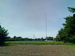 Lotes cultivados sobre la Ruta 53.