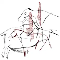 Superposicón de pinturas y grabados Galería C.