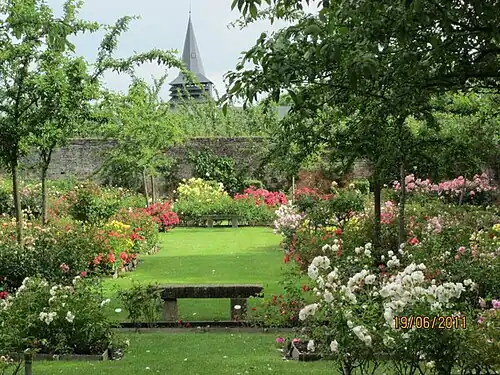 La rosaleda con la iglesia.