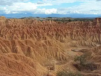 Zona del Cusco en el desierto de la Tatacoa.