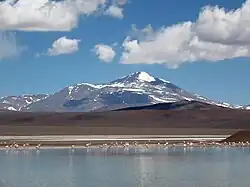 Laguna Brava (4000 msnm), humedal en la zona altoandina de la provincia de La Rioja.