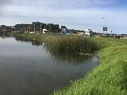 Cuerpo de agua del sector norte del Humedal Laguna Llolleo. Imagen tomada en Junio de 2020.