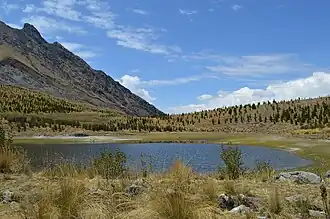 Laguna Radián, vista hacia el sur.