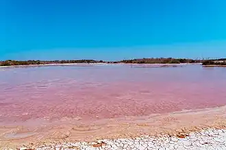 Laguna rosada en Yucatán