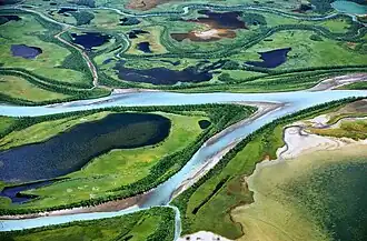 Parte media del delta visto desde Skierfe