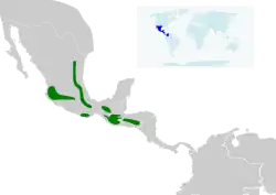 Distribución geográfica del colibrí amatistino