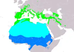 Distribución anual del alcaudón común.