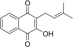 Imagen de la estructura