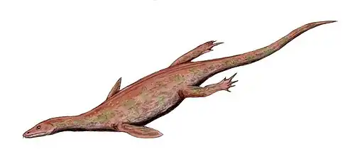Lariosaurus (Nothosauria)